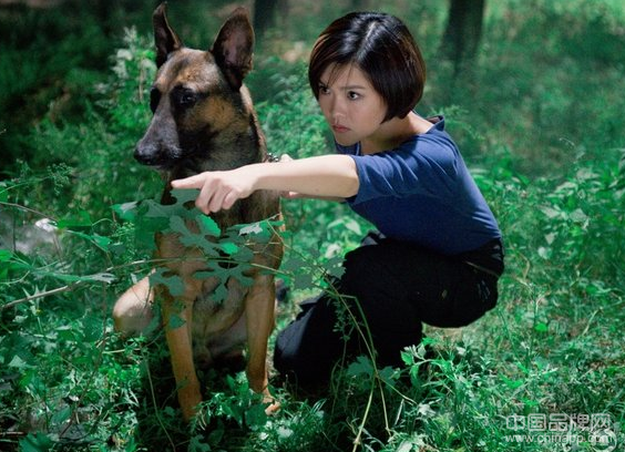 神犬奇兵萌犬参军成长记