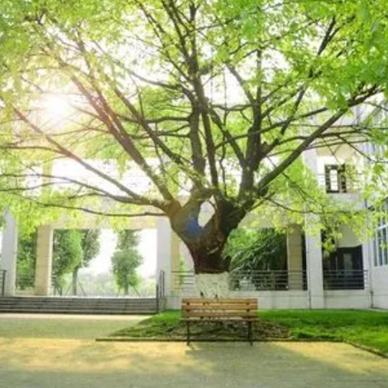 2023年四川十大名校排行榜 四川最好的十所大学 四川最出名的大学