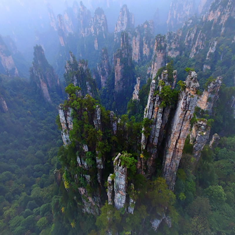 中国十大国家森林公园