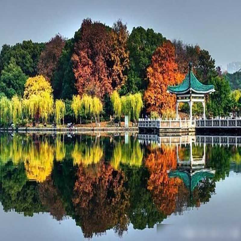 武汉秋季最美的10个地方 武汉十大秋季旅游景点 武汉秋天旅游好去处