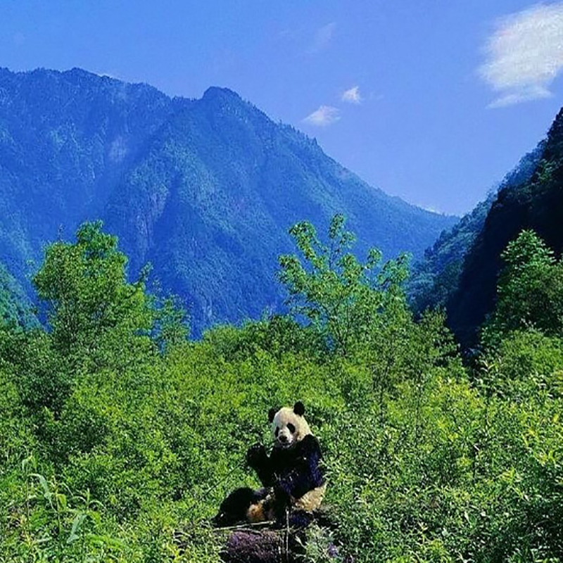 中国十大最值得去的自然保护区