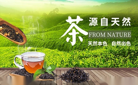 嘉盛茶业jiasheng