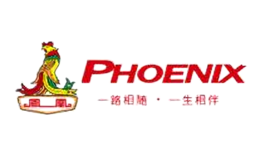 自行车十大品牌-PHOENIX凤凰