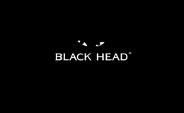 黑頭blackhead