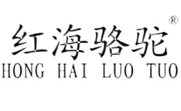 红海骆驼HONGHAILUOTUO