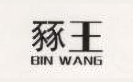 豩王BIN WANG