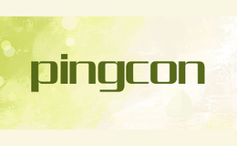 电动葫芦十大品牌排名第9名-pingcon