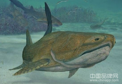 4.2亿年前古鱼呈现人脸结构 人类的祖宗或许不