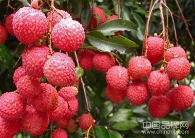 贵港土特产品排行榜