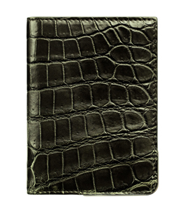 2012秋冬 Dior Homme 珍稀皮革手袋
