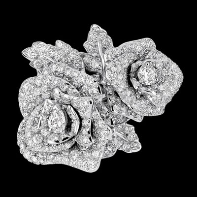 Dior 迪奥创意花园里盛放的玫瑰