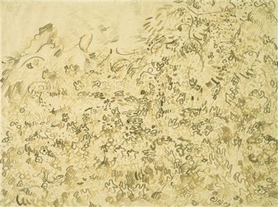 梵高作品《峡谷》下面隐藏有另外一幅描绘野生植物的油画。