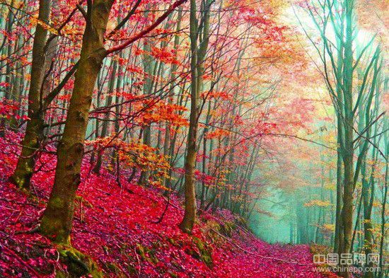 亚洲五个最值得去的蜜月圣地