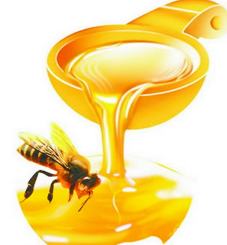 蜂胶怎么食用
