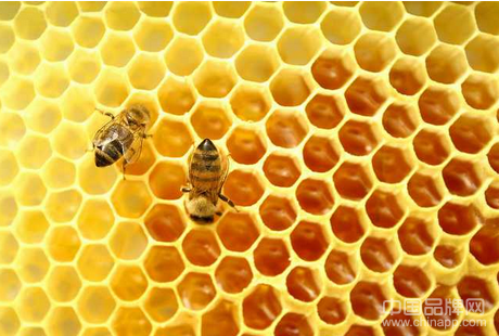 蜂蜜如何正确吃
