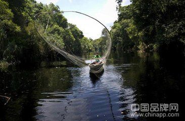 苏门答腊热带雨林