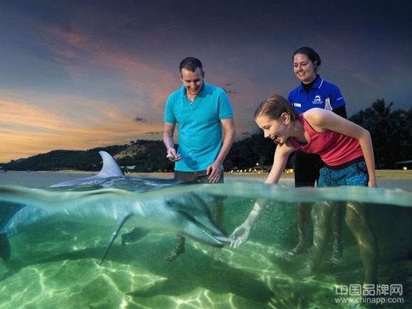 摩顿岛 因海豚闻名的澳洲小岛
