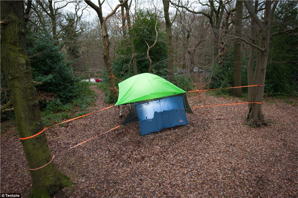 露营新玩法：悬在空中的树屋帐篷8