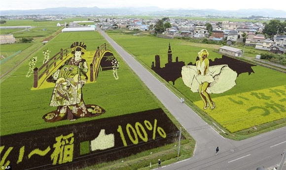 日本农民竟然用水稻来“作画”1