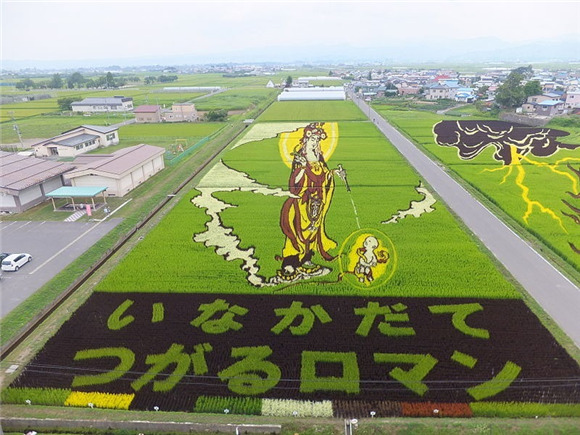 日本农民竟然用水稻来“作画”6
