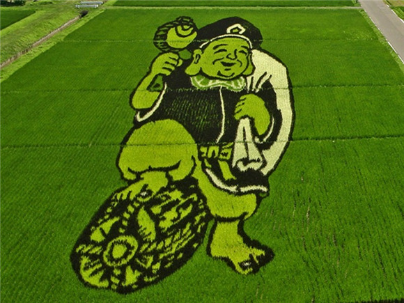 日本农民竟然用水稻来“作画”9