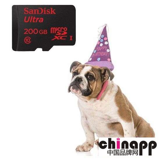 microSD存储卡规范已满十周岁：SanDisk出货突破20亿1