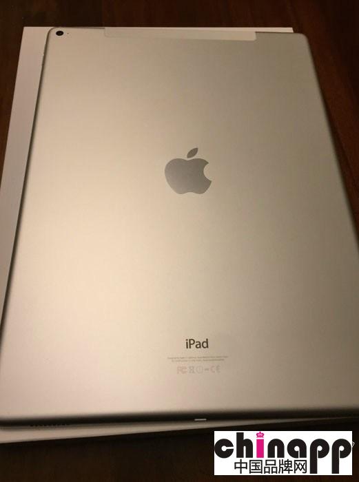罕见“错版”iPad Pro：银版配金色Touch ID环1