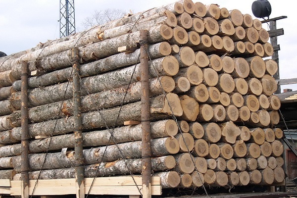 进口木材流程