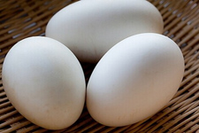 鹅蛋的做法：青椒鹅蛋