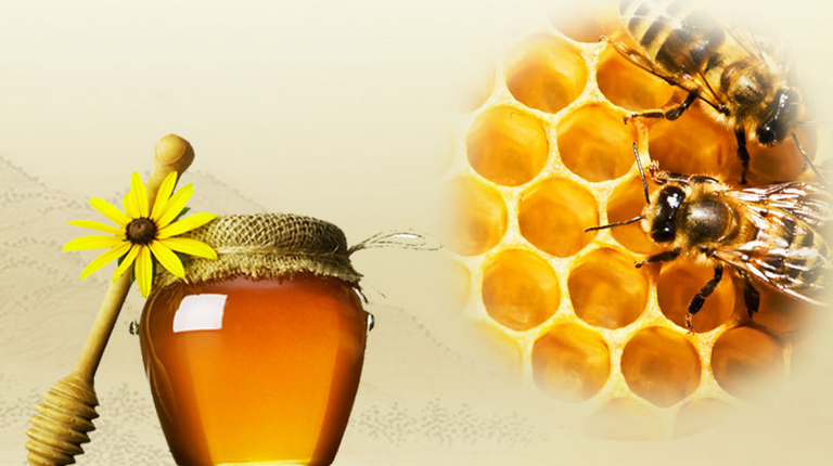 老蜂农蜂蜜连锁可以加盟吗？2