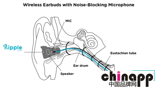能单用可组队的蓝牙耳机Ripplebuds3