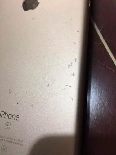  iPhone 6s被曝氧化掉漆 苹果：暂不能处理4