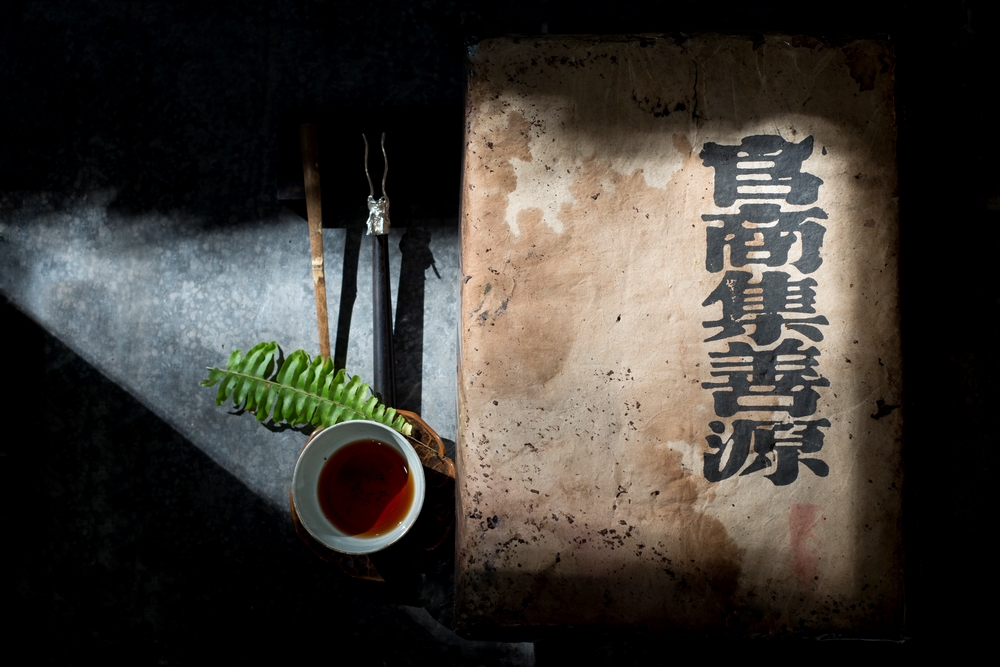 第13届深圳茶博会“百年老茶、经典老茶”盛装迎客4