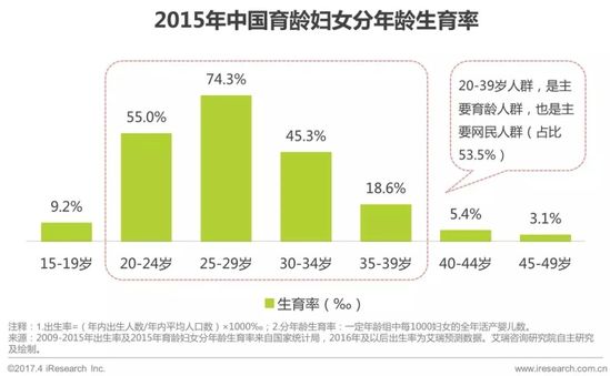 2017年中国母婴家庭人群消费分析报告5