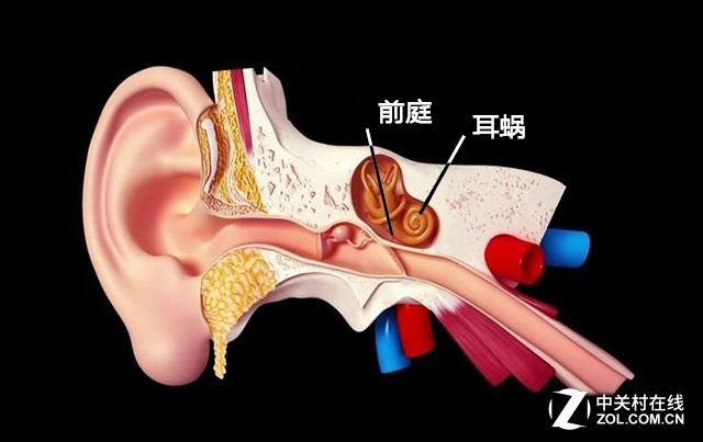 VR想普及？不解决这个问题永远没戏！2