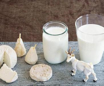 在奶粉行业竞争激烈的背景下 羊奶粉产业迎来风口1