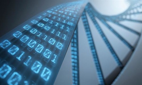 细思极恐 哈佛用活体细胞DNA存储电影！1
