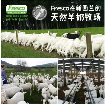 新西兰羊奶专家Fresco：因为专注，所以专业10