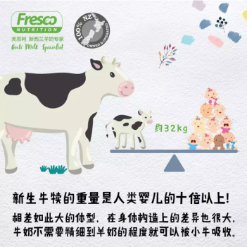 新西兰羊奶专家Fresco：因为专注，所以专业6