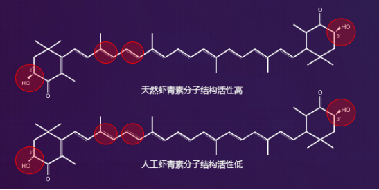 陈伟霆课堂实验用心做 解锁自然堂休眠新“肌”密2