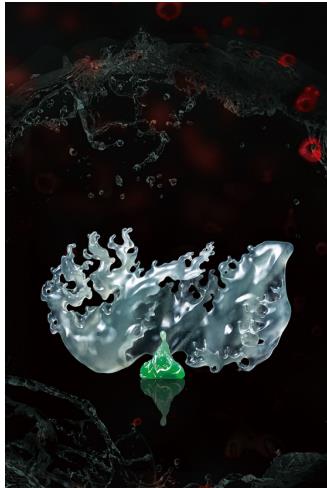 斑馬峰會——寶玉石行業(yè)不僅需要技藝，更需要思考和方向！9