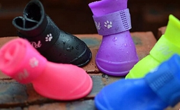 高人气雨鞋品牌推荐 有哪些优质选择