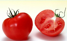 番茄红素的提取方法