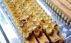 蜂王浆食用方法