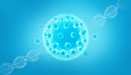 干细胞是什么，精准医疗与干细胞的长寿之谜