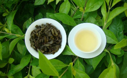 台湾高山茶哪些品牌口感比较好？