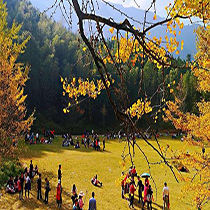 永州桐子坳景区