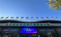 辛集市2023年特色农产品推介展示会在北京新发地顺利举办