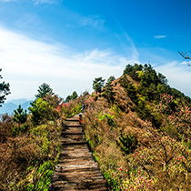 黄冈山