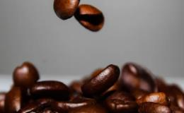 目前咖啡豆的世界充满了无限的可能性！